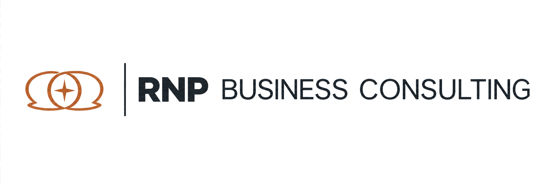 RNP Business Consulting